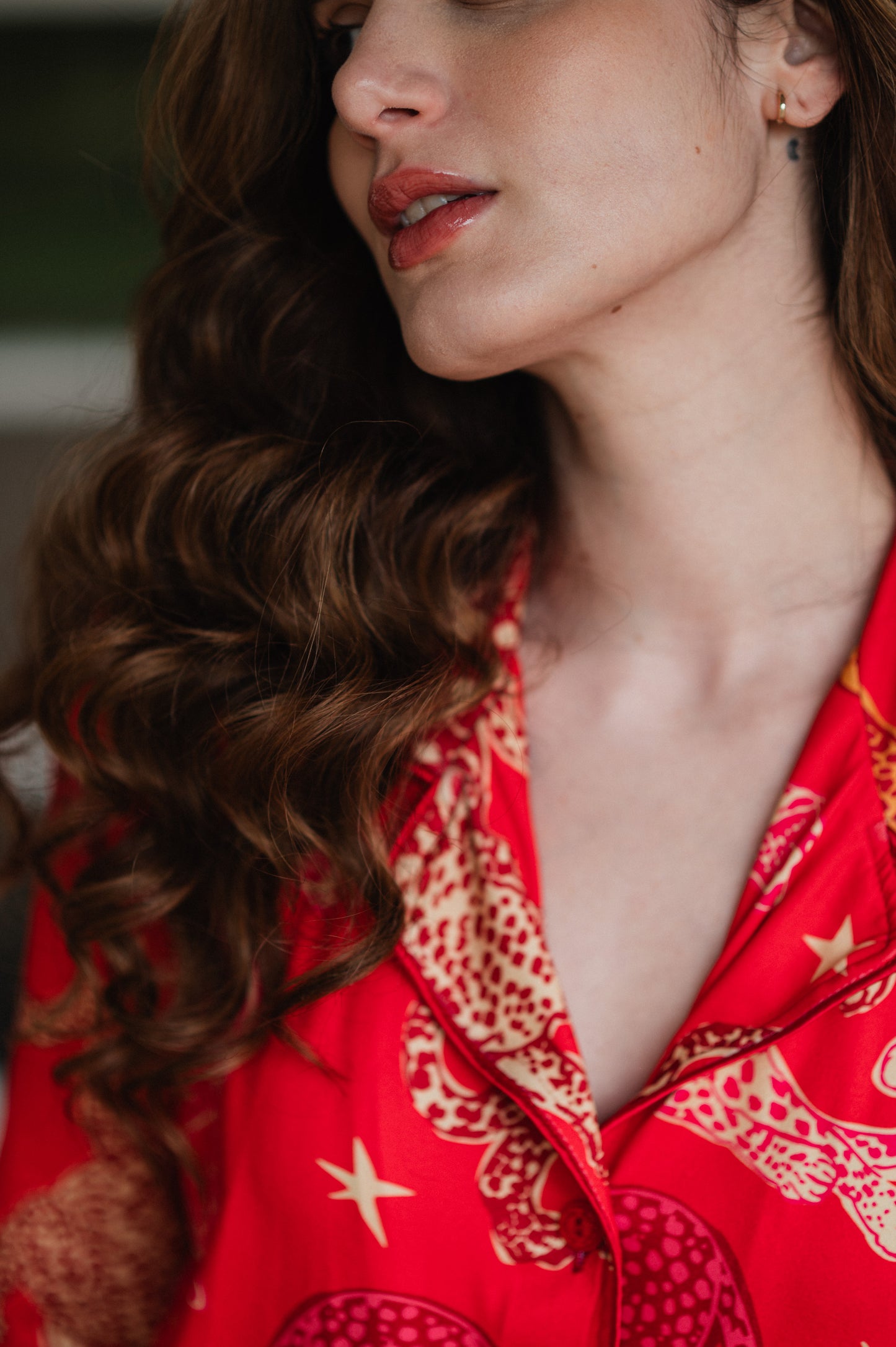 Fantasia Felina en Rojo - Camisa Manga Larga y Pantalon